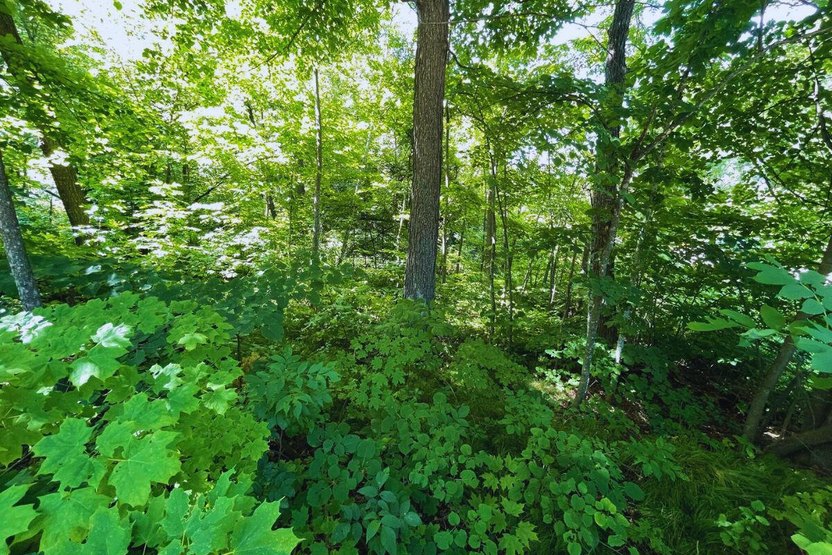 Lot 28 corner Melody Ln and Lucky Jog, Garrison, MN 56450