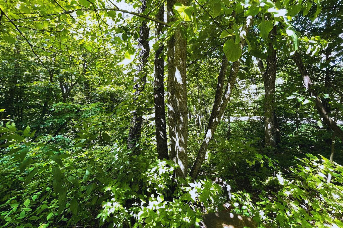 Lot 28 corner Melody Ln and Lucky Jog, Garrison, MN 56450